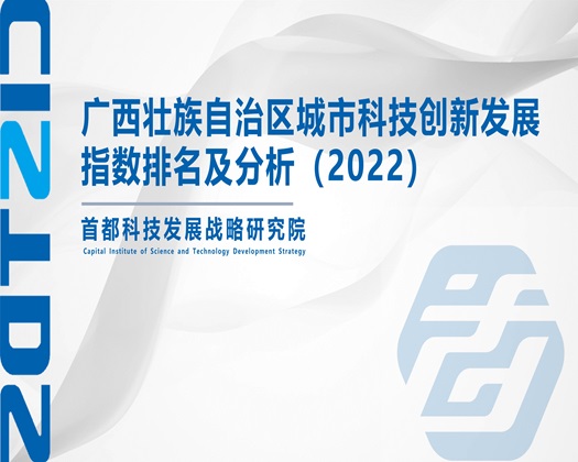 要操逼网址【成果发布】广西壮族自治区城市科技创新发展指数排名及分析（2022）